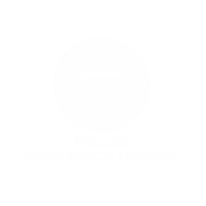 [BRANCO PNG] PAULINI ASSISTÊNCIA